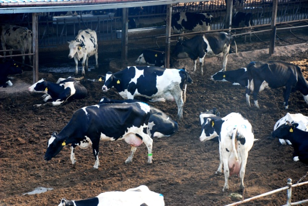 1676879423105505.png 圖片3.png