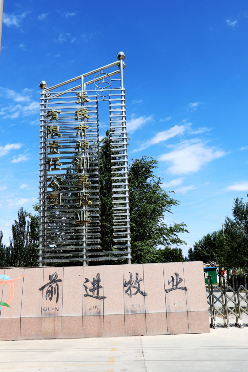 1676942466669208.png 神洲.png