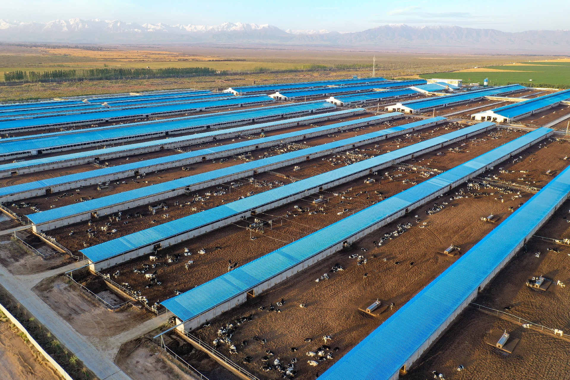 1681375732122147.jpg fileUpload (7).jpg