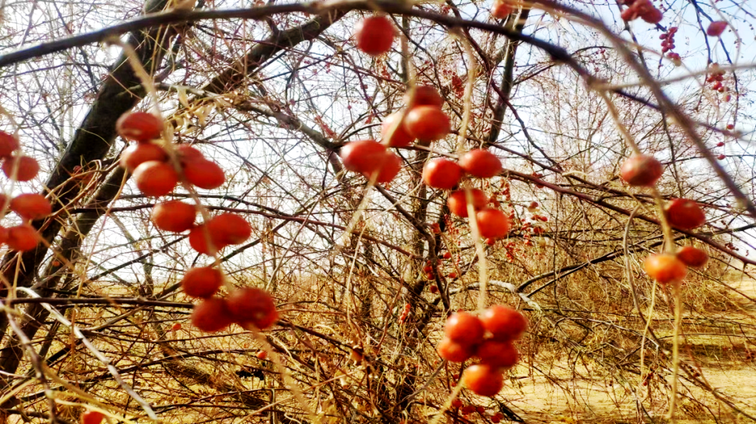 1682152362401470.png 微信圖片_20230422163102.png