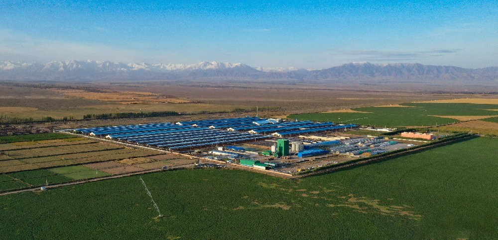 作家進(jìn)前進(jìn)詩(shī)歌選登(五)