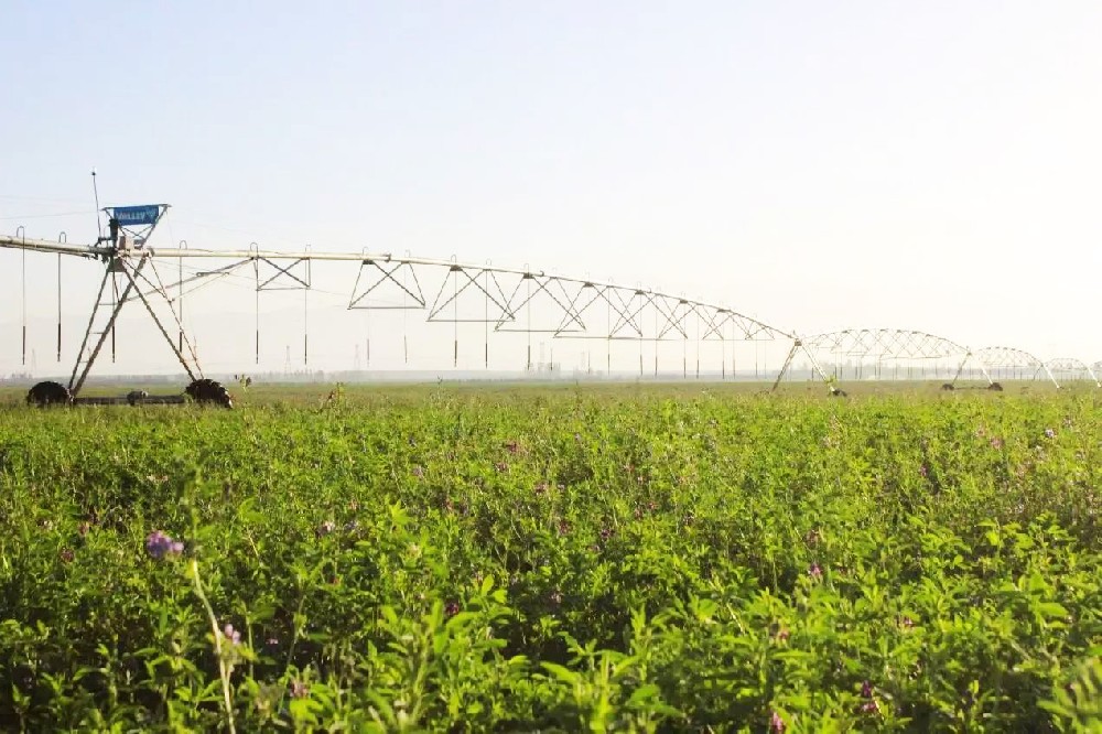 作家進(jìn)前進(jìn)詩(shī)歌選登(六)
