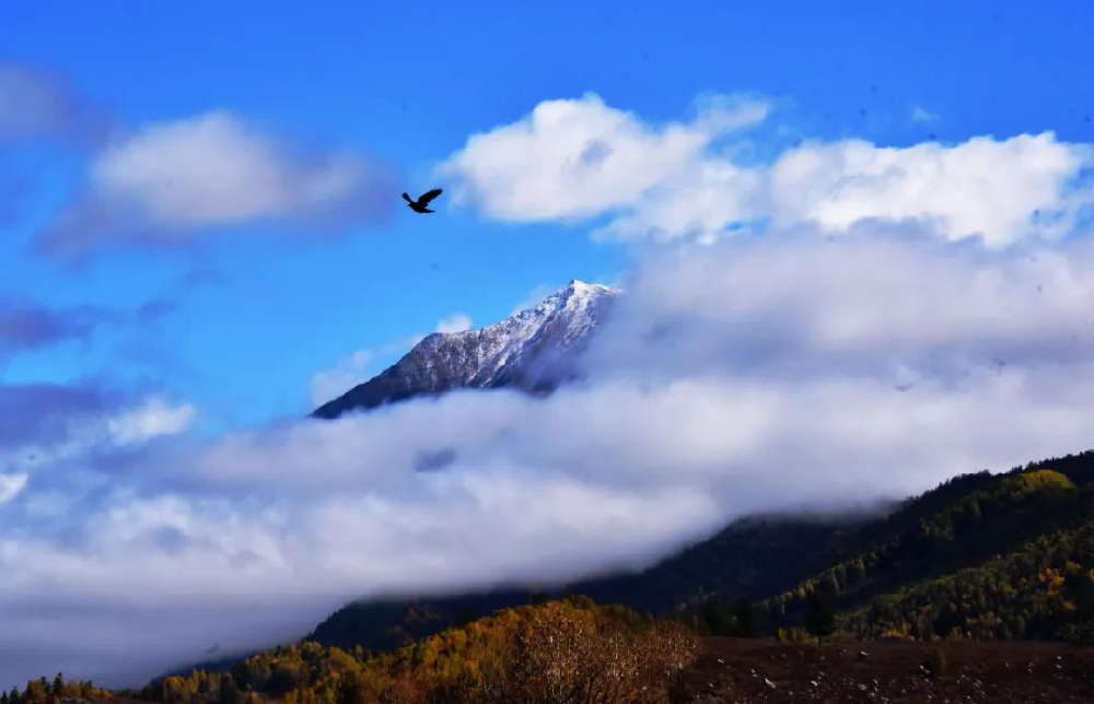做最好的自己，遇見最好的生活