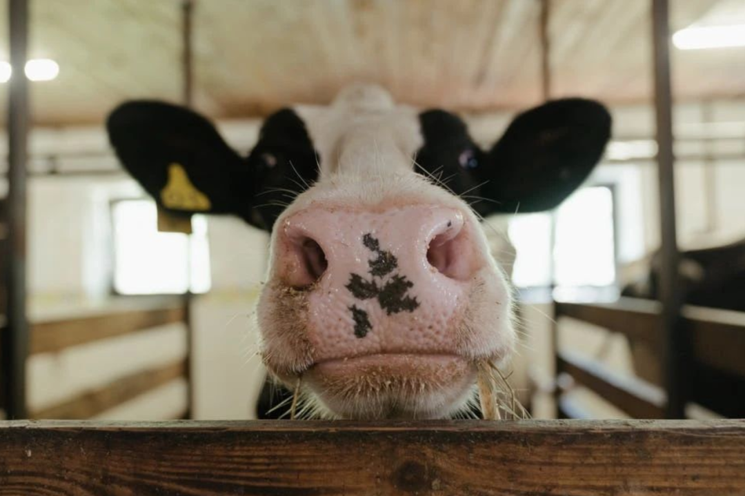 1697078190151715.png 22.png