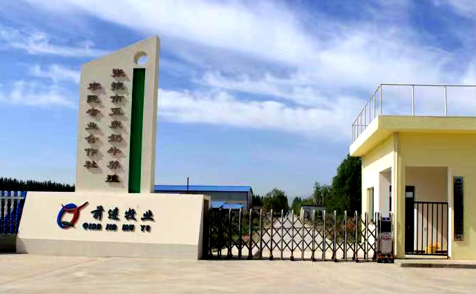 張掖市五泉奶牛養(yǎng)殖農(nóng)民專(zhuān)業(yè)合作社 (前進(jìn)集團(tuán)五泉牧場(chǎng))