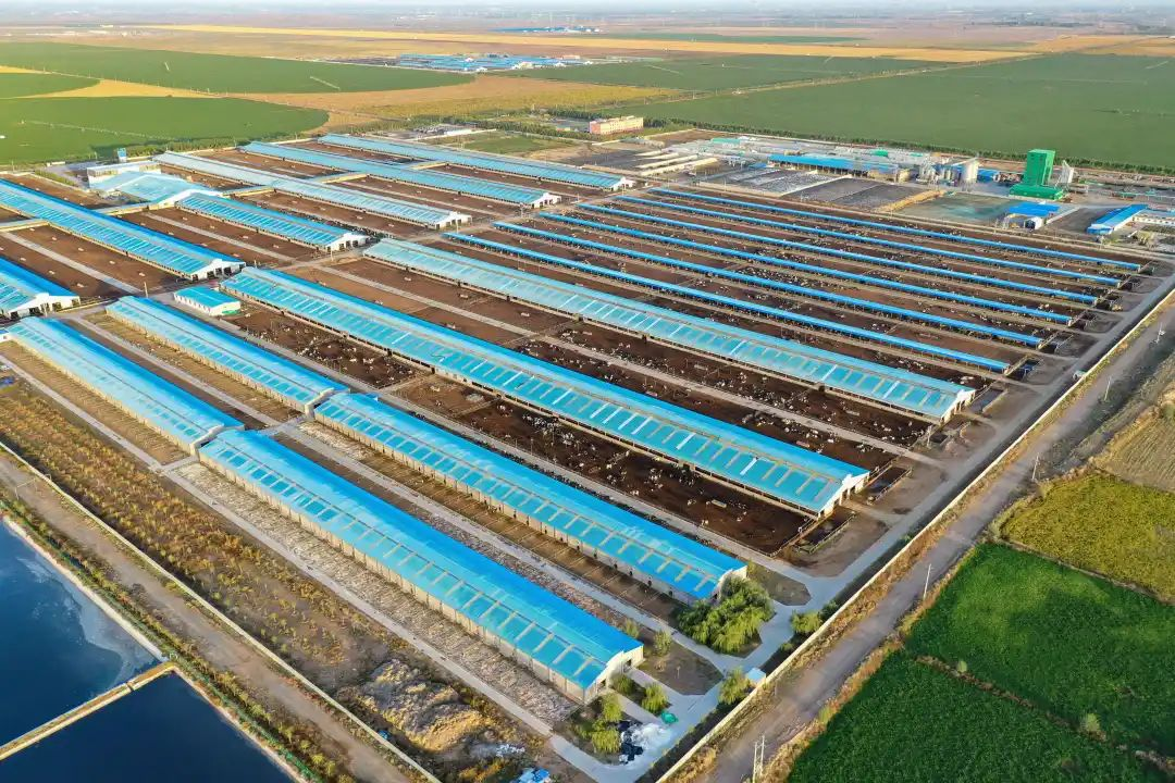 1698280690940200.png 22.png