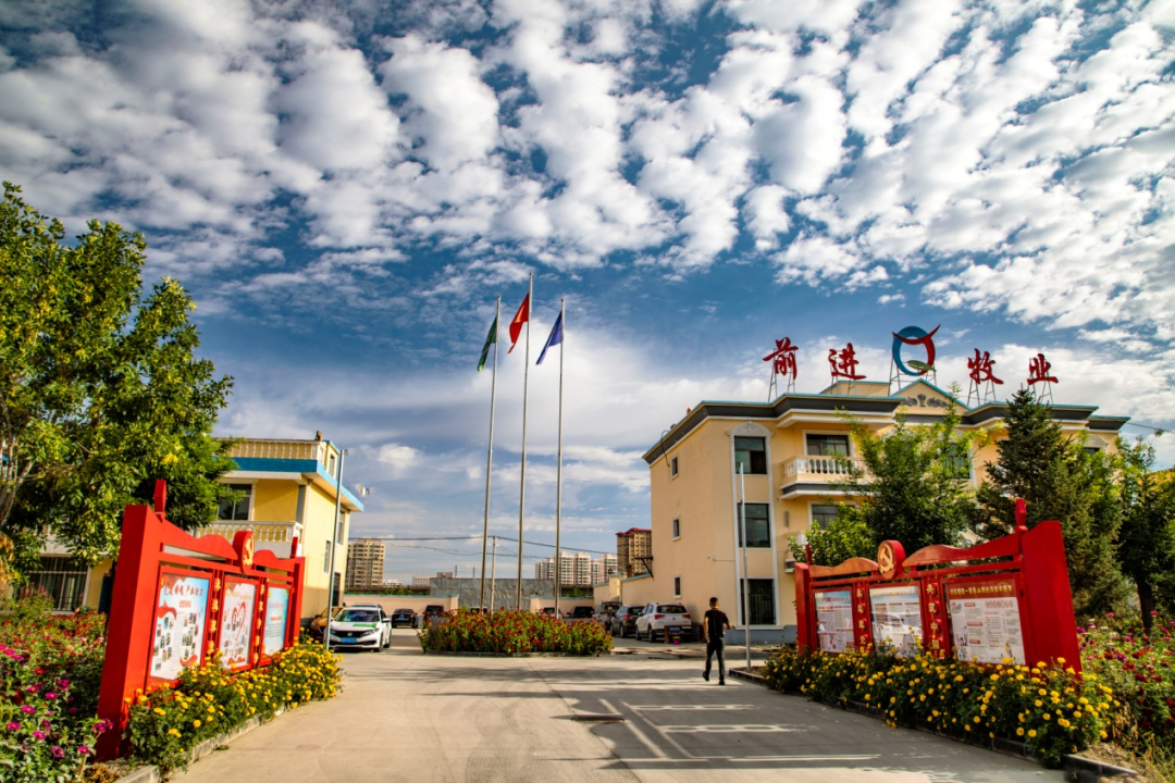 1698280725668023.png 33.png