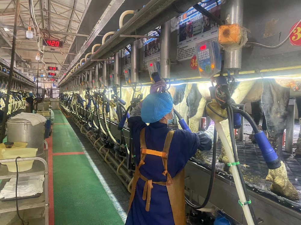 崗位雖平凡，匠心自崢嶸