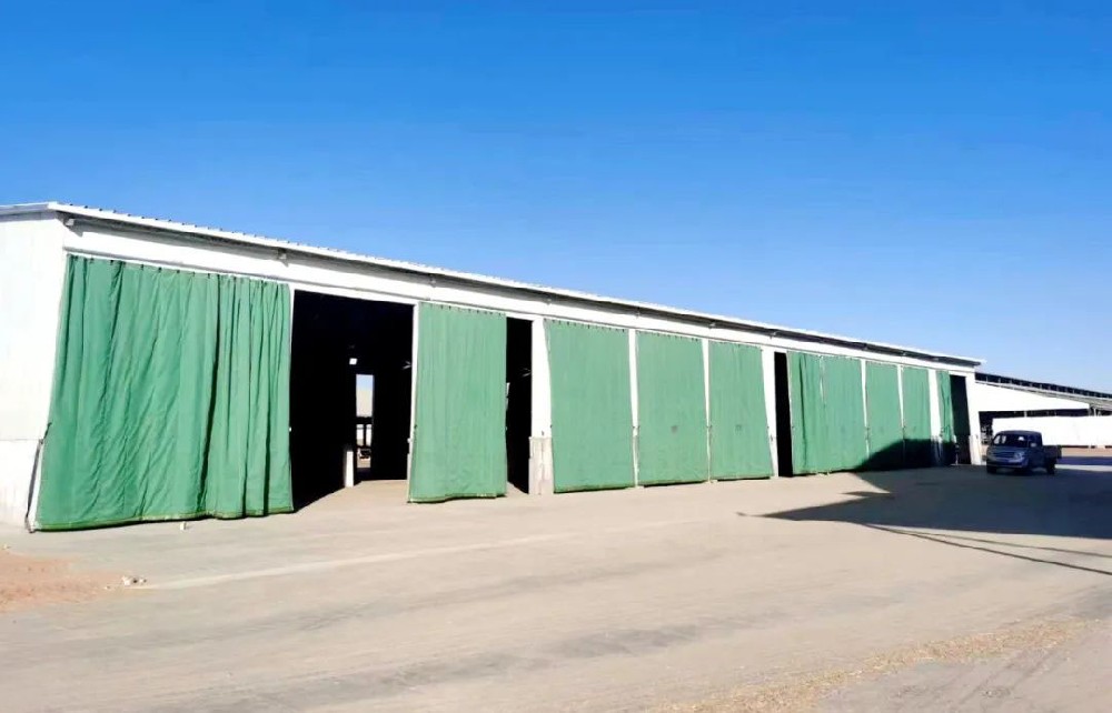 想牧場之所想，急牧場之所急——基建部搭建保溫車庫助力牧場降本增效