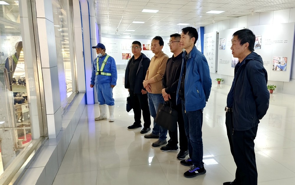 甘肅前進牧業(yè)通過全國第四批奶牛休閑觀光牧場項目現(xiàn)場復核驗收