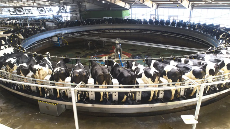 前進(jìn)集團(tuán)傳祁鮮奶冰淇淋的獨(dú)特魅力，你嘗過(guò)了嗎？