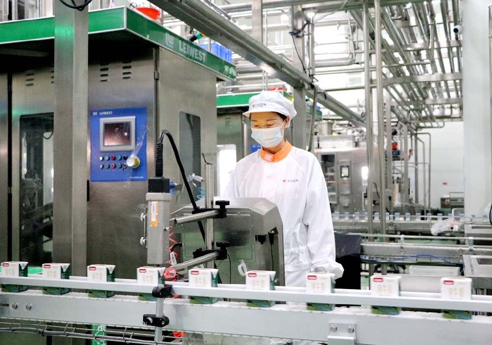 雙節(jié)將至銷售旺，加班趕貨生產(chǎn)忙 ——甘肅前進集團傳祁乳業(yè)開足馬力保供應(yīng)