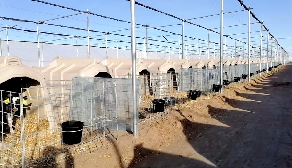 全方位呵護(hù)，讓牛寶寶溫暖又健康