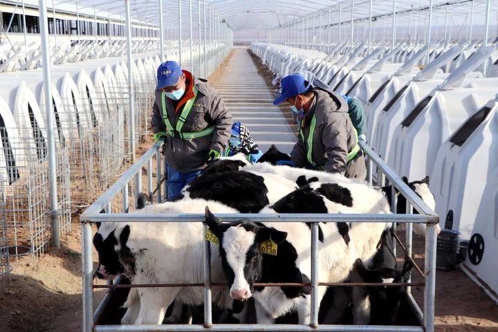 生命的禮贊，成長(zhǎng)的史詩(shī)