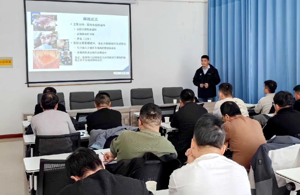 甘肅前進(jìn)牧業(yè)開(kāi)展奶牛肢蹄健康與蹄病防治專(zhuān)題培訓(xùn)