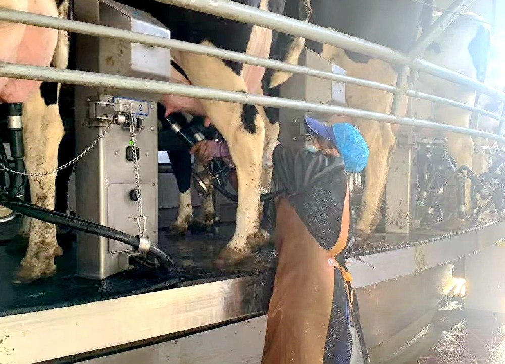 心懷熱愛，不懈耕耘