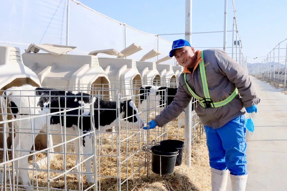 專業(yè)照料，精心呵護(hù)