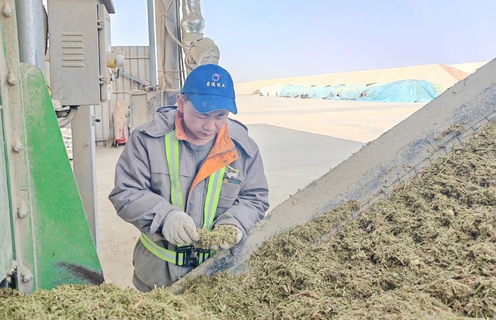 奶牛飼養(yǎng)師的堅守