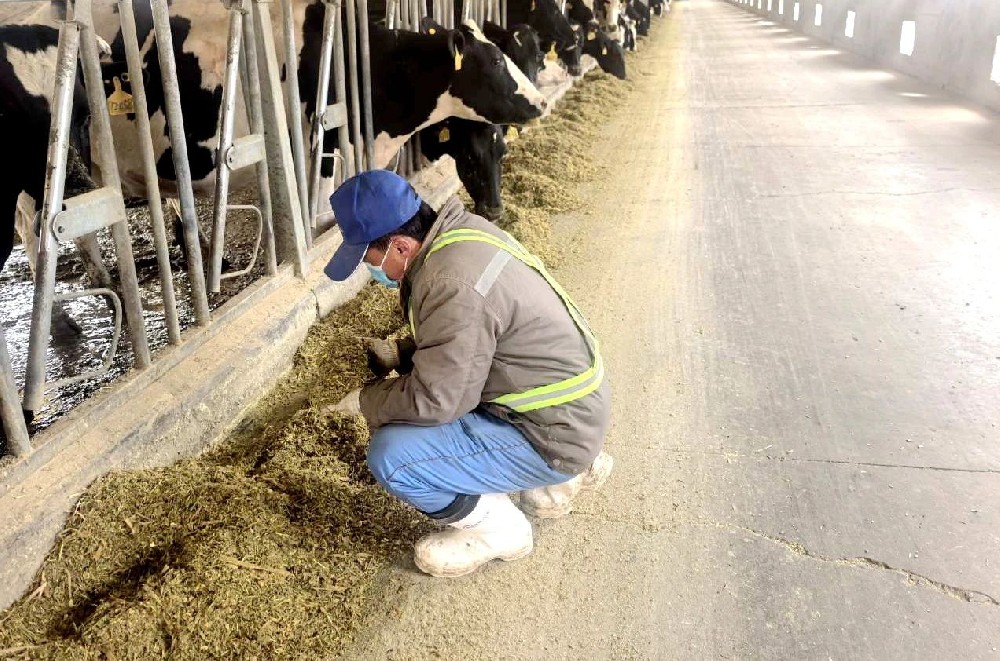 甘做養(yǎng)殖路上的“老黃?！?></div>
            </a></li>
          
          <li id=