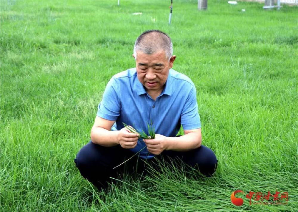 向“新”甘肅 民企力量(6)|甘肅前進(jìn)現(xiàn)代農(nóng)業(yè)發(fā)展集團(tuán)有限公司董事長(zhǎng)馬志祥:新征程上再前進(jìn) 全力打造西部奶都