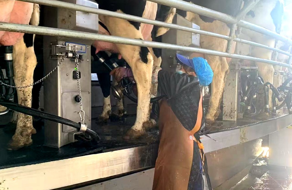 于勤勉中篤行，在務(wù)實中奮進