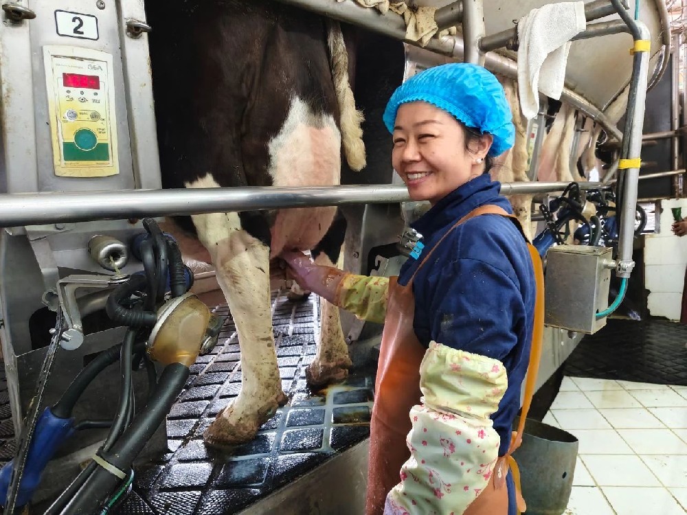 恪盡職守勤奉獻(xiàn),身體力行作表率