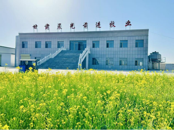 晨光下的乳業(yè)之光