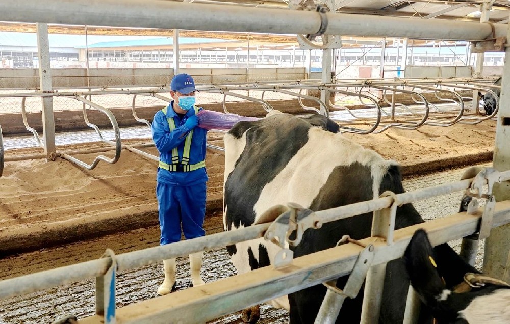 從跌跌撞撞到步履堅定