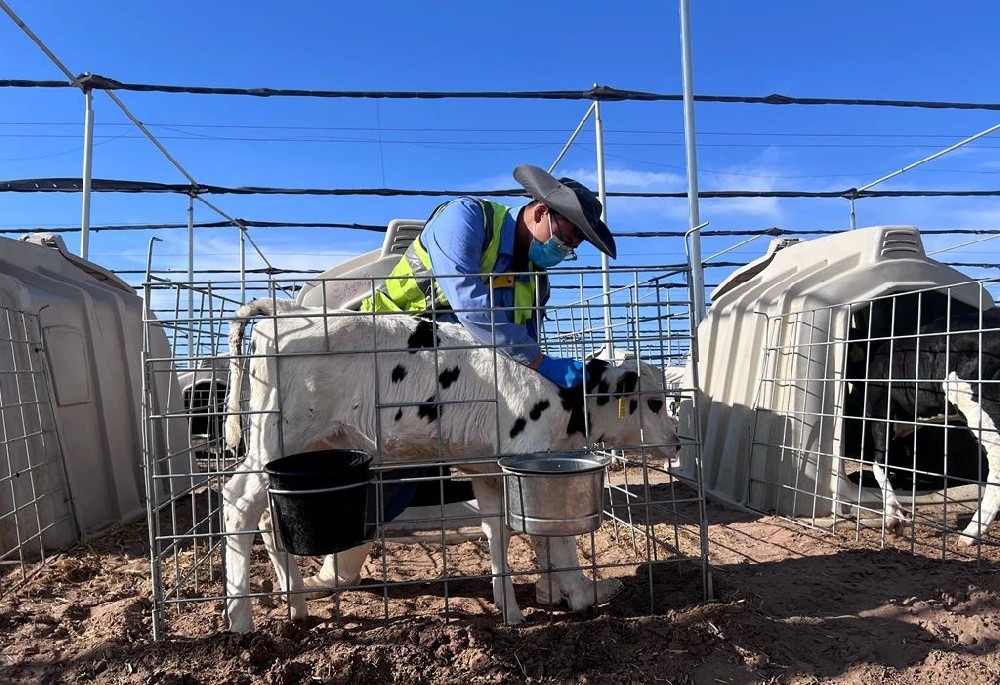 在耕耘中感悟成長(zhǎng)