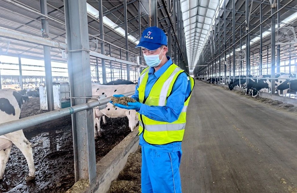 從新手到經(jīng)理的成長(zhǎng)進(jìn)階記