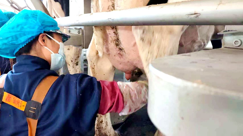 乳白時光里的堅(jiān)守者