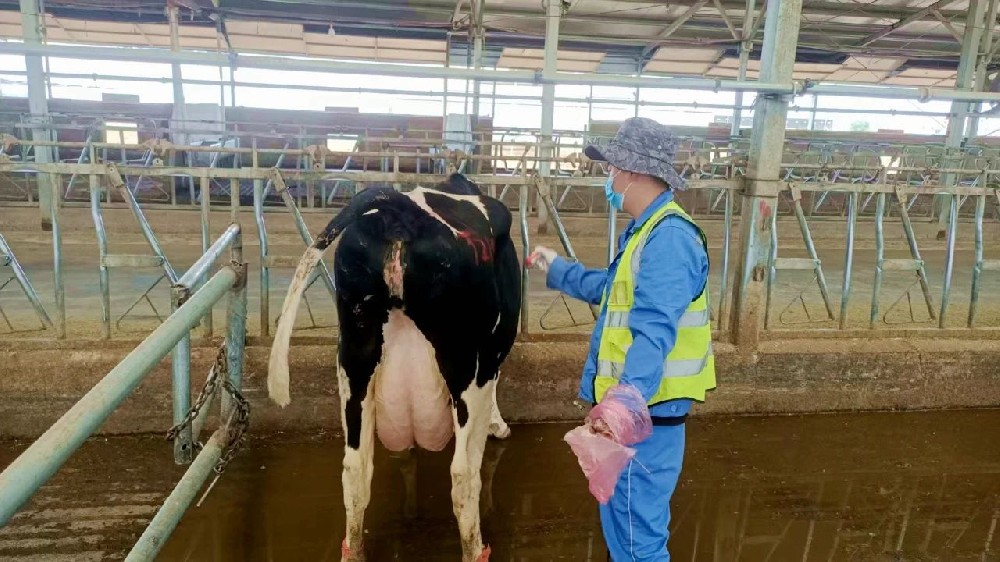 生命密碼的解讀者：繁育員的十二時辰