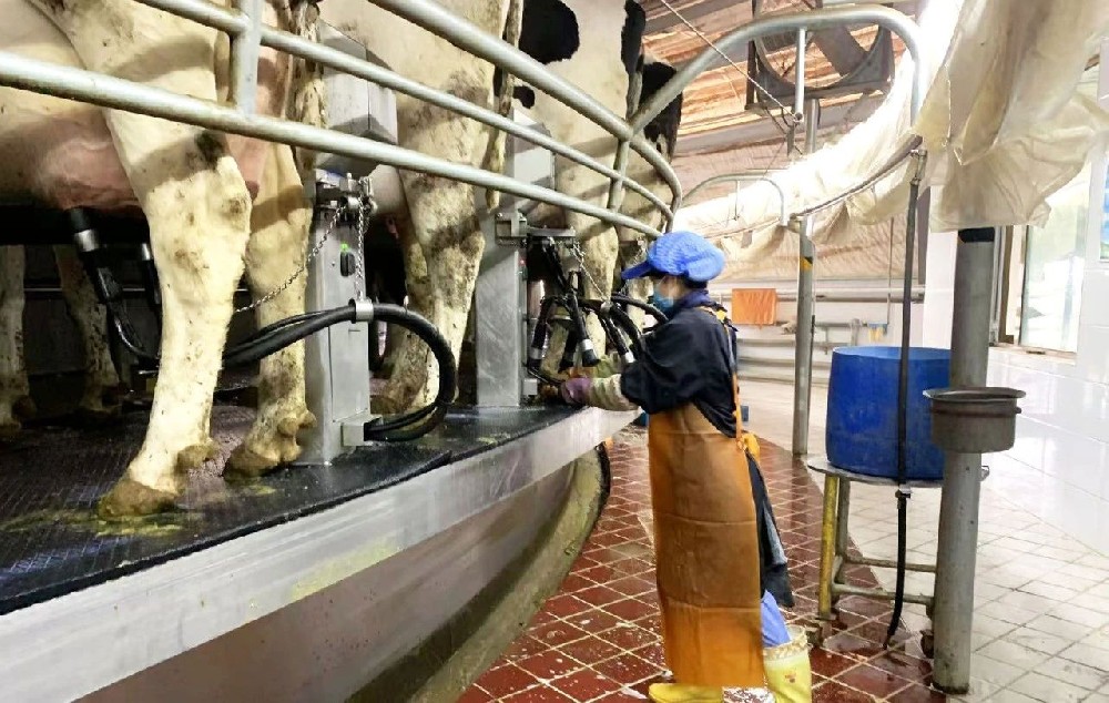 播種希望，收獲喜悅