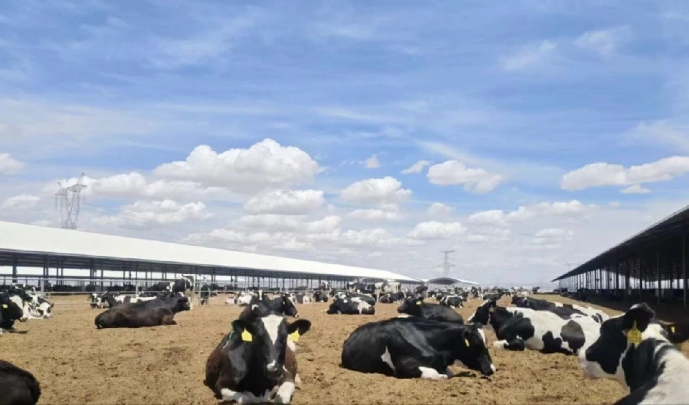 牧場(chǎng)四季，成長(zhǎng)印記