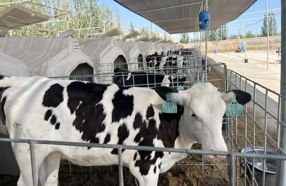 匠心培育未來產(chǎn)能之星