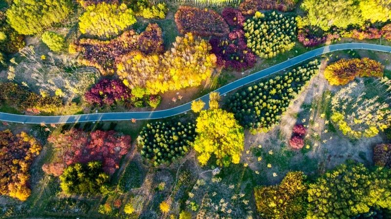 坐在蘆水灣，一杯傳祁酸奶讓夏日的炎熱融入湖中