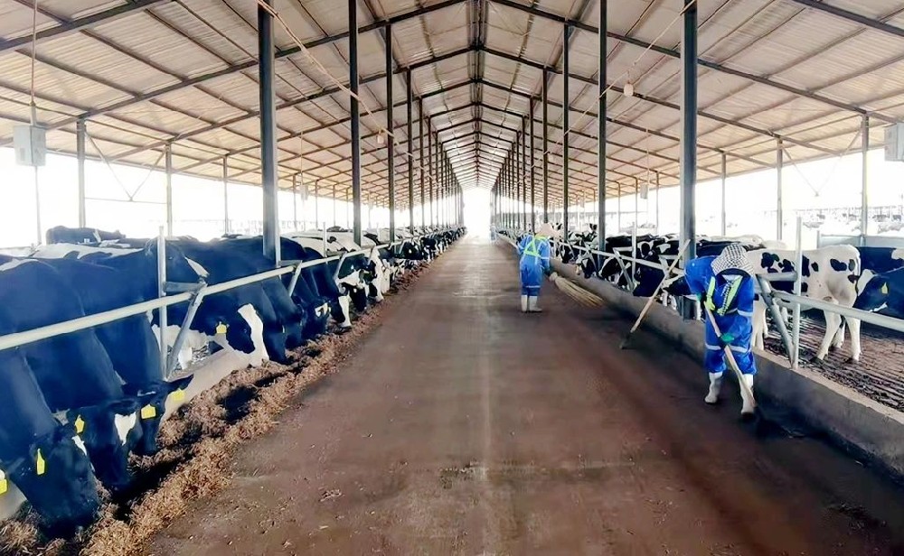 奮斗與歡樂的激昂樂章