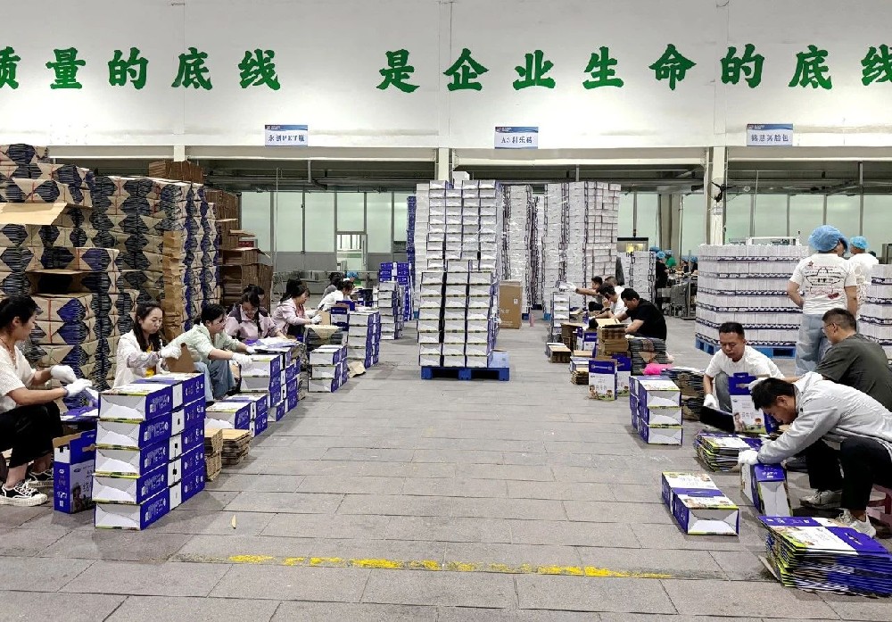 職能部門下沉一線，同心筑牢生產(chǎn)“保障線”