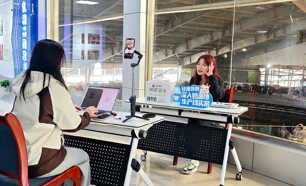 塞上一頭牛到甘肅前進集團溯源直播